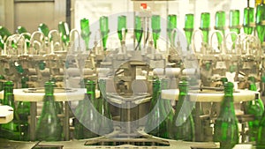 Champagne bottles on factory conveyor belt
