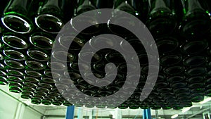 Champagne bottles on factory conveyor belt