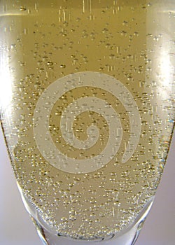 Champagne Bubbles