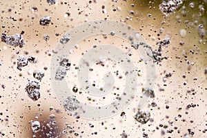 Champagne bubbles detail texture pattern