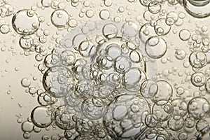 Champagne bubbles in a glass