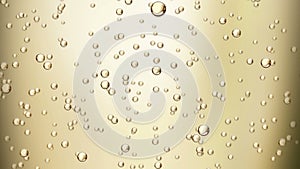 Champagne bubbles (seamless loop)