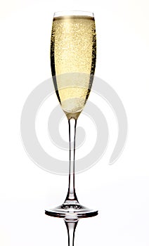 Champagne Bubbly