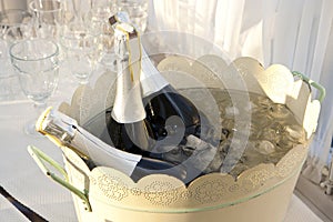 Champagne in bucket