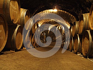 Champagne Cellar