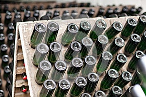 Champagne in the cellar storage