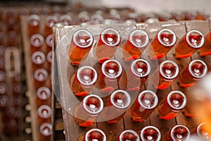 Champagne in the cellar storage