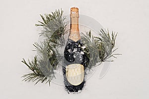 Champagne, christmas decor and gift box over snow and fir tree with copy space