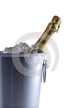 Champagne cooler