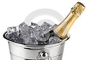 Champagne cooler