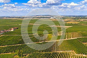 Champagne countryside with vineyards