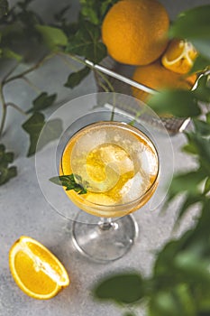 Champagne coupe glass of refreshing orange cocktail with ice served on gray table surface surround of orange fruit and different