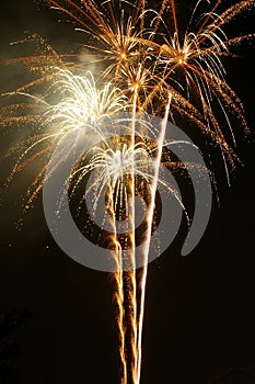 Champán fuegos artificiales 