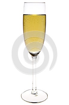 Champagne flute
