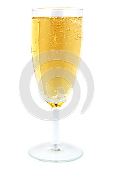 Champagne glass