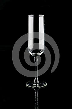 Champagne glass on black