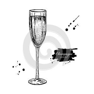 Champagne glass with bublles. Hand drawn isolated vector illustr
