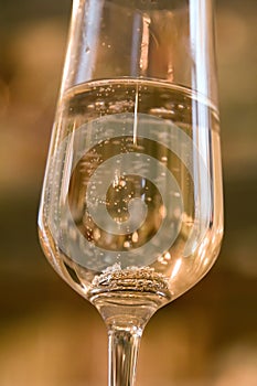 Champagne glass with engagement rings