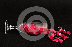 Champagne glass filled with rose petals