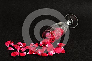 A champagne glass filled with rose petals