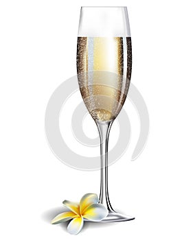 Champagne glass and frangipani flover photo