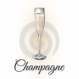 Champagne Glass Hand Drawing Vector Illustration Bubbles. Alcoholic Drink.