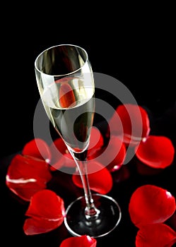 Champagne glass with petals of rose