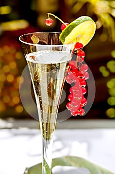 Champagne glass with red currant