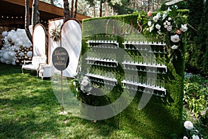 Champagne glass stand at a wedding party