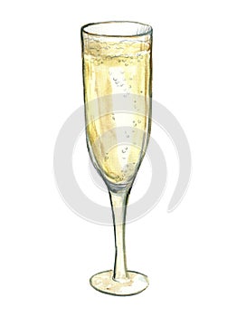 champagne glass, watercolor painting of sparkling wine isolated on white background, champagne hand drawn