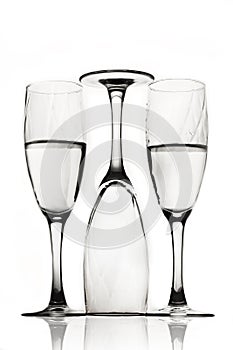 Champagne glasses