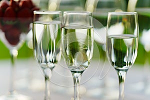 Champagne glasses on the buffet table. Table setting for a buffet at a party.