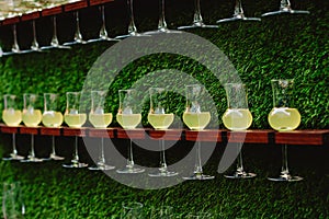 Champagne glasses and cocktails are mounted on a stand on the vertical wall of the green lawn. Decor for a wedding or party in the