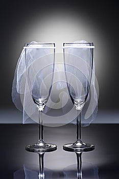 Champagne glasses Lesbian