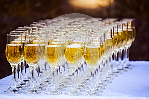 Champagne in glasses