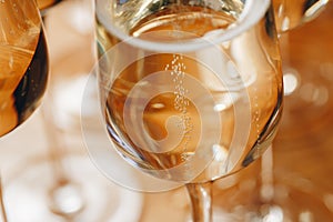 Champagne glasses on table closeup.