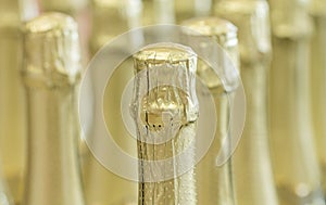 Champagne gold bottle necks and top caps at standing the light background in stock.