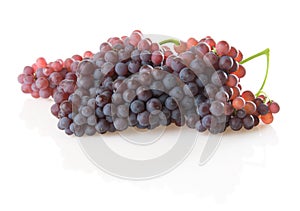 Champagne Grapes