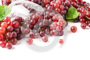 Champagne Grapes and wine glass isolated