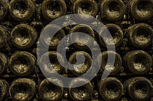 Champagne maturing in bottles in cellars of reims