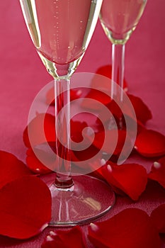Champagne and petal rose