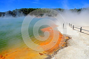 Champagne pool