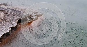 THE CHAMPAGNE POOL, DETAIL SHOT, A BUBBLING STEAMING HOT SPRING, GEOTHERMAL WONDERLAND, NEW ZEALAND