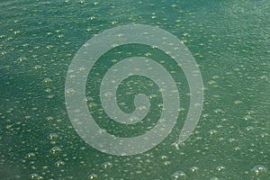 Champagne Pool in Waiotapu, Rotorua, New Zealand