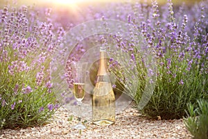 Champagne is poured into glasses in a sunset lavender field.