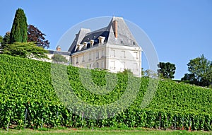 Champagne Region near Epernay,France