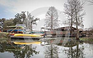 Champagne's Cajun Swamp Boat Tours