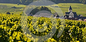 Champagne vineyards and church in Marne department, France