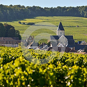 Champagne vineyards and church in Marne department, France