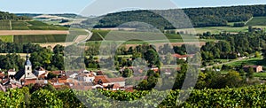 Champagne vineyards in the Cote des Bar Aube